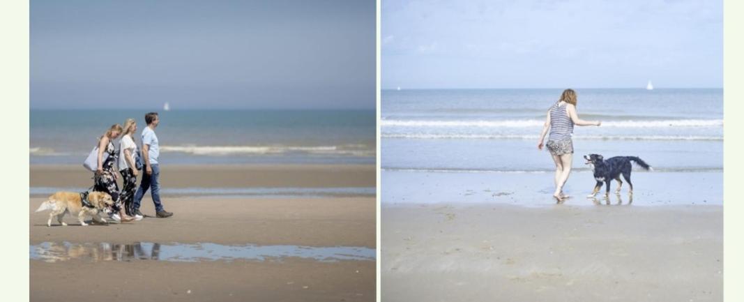 Strandchalet เบรเดเน ภายนอก รูปภาพ
